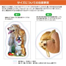 画像6: 思い出ペットクッション Lサイズ（日本製）綿100% オーダーメイド 写真印刷  ぬいぐるみ 犬 猫 うさぎ ペットメモリアル ペット写真 (6)