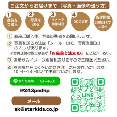 画像3: メモリアルモニュメント Dream ドリーム ペット記念品 ペット供養 ペットメモリアル ペット写真グッズ 名入れ (3)