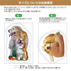 画像5: 思い出ペットクッション Bigサイズ（日本製） フェイクファー オーダーメイド 写真印刷  ぬいぐるみ 犬 猫 うさぎ ペットメモリアル ペット写真 (5)