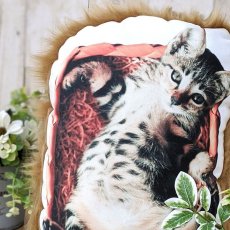 画像3: 思い出ペットクッション Bigサイズ（日本製） フェイクファー オーダーメイド 写真印刷  ぬいぐるみ 犬 猫 うさぎ ペットメモリアル ペット写真 (3)