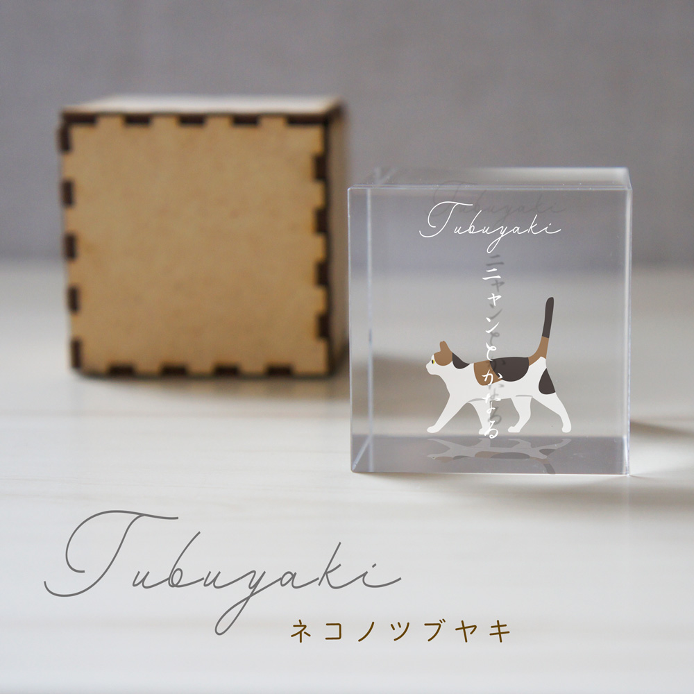 ねこのつぶやき　小さなネコキューブ